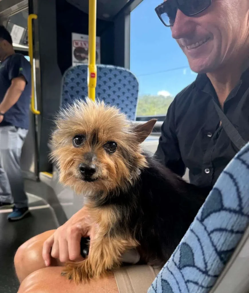 Jay Jay Feeney & Dom Harvey