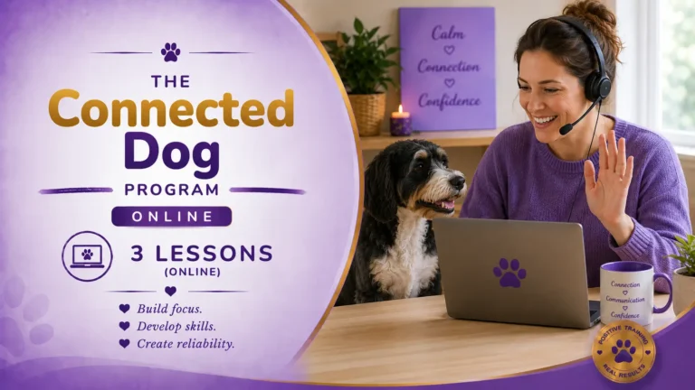 Connected Dog