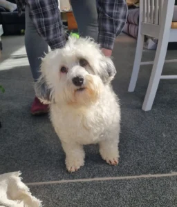 Maggie